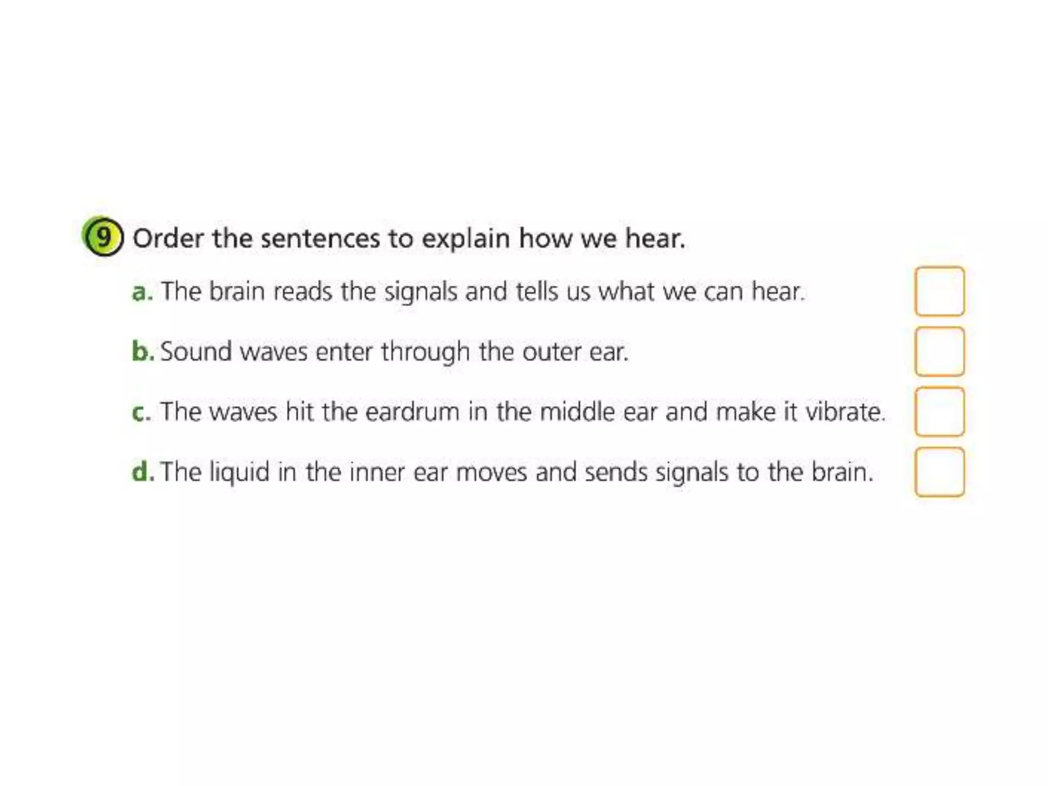 Smell taste and touch