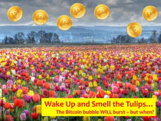 All text © 2013 Erik A. Steiner

Wake Up and Smell the Tulips…
The Bitcoin bubble WILL burst – but when?

 