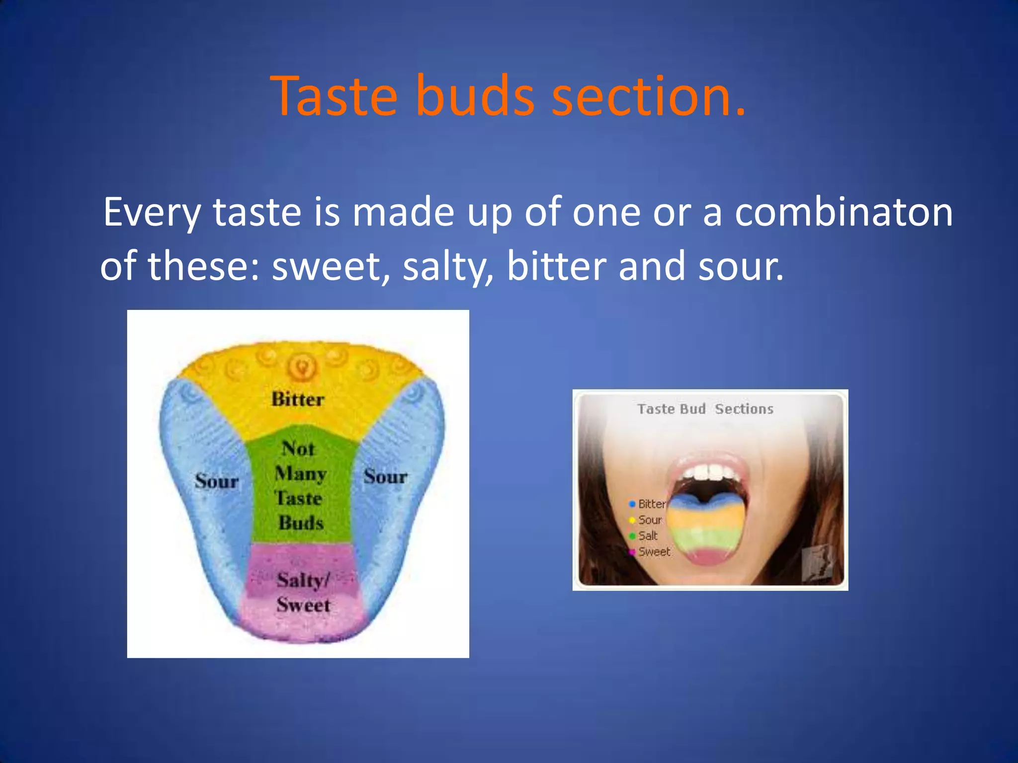 Taste buds section.
Every taste is made up of one or a combinaton
of these: sweet, salty, bitter and sour.
 