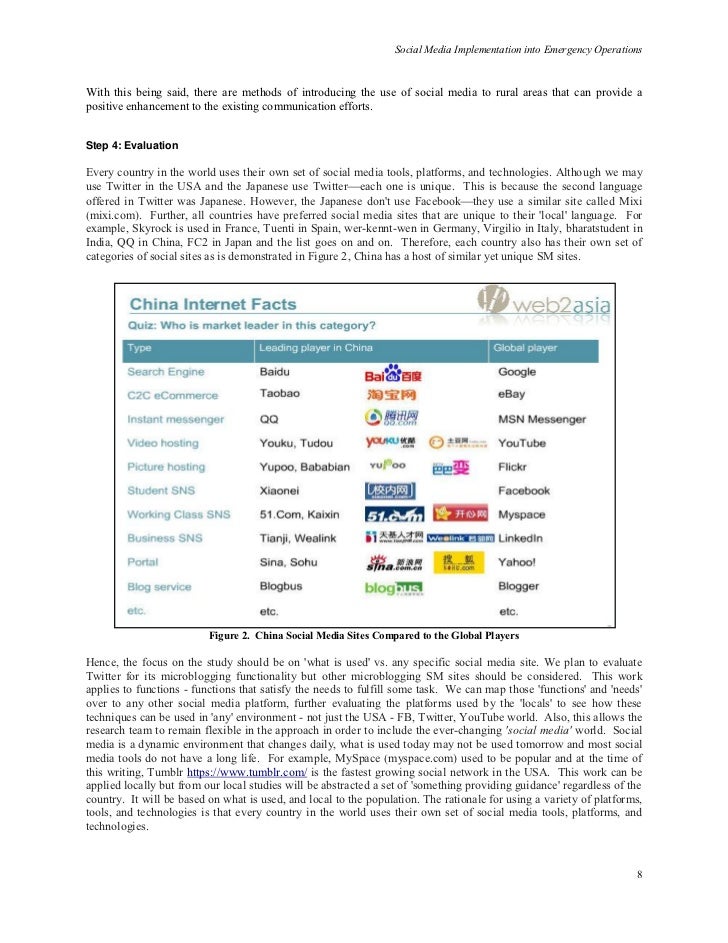 hindi extended essay format