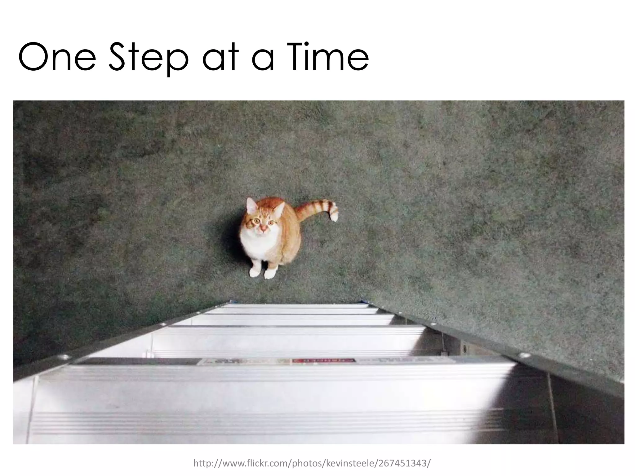 One Step at a Timehttp://www.flickr.com/photos/kevinsteele/267451343/