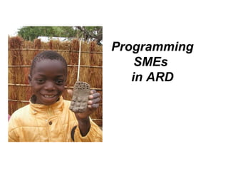 Programming
SMEs
in ARD
 