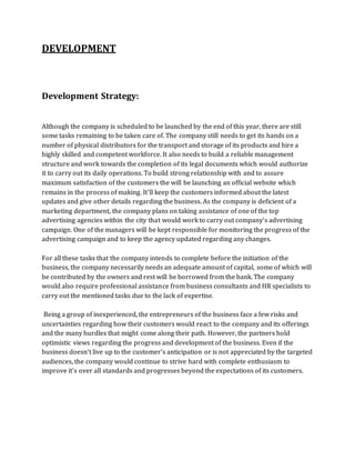 Smme Development Plan Example Business Plan Small and Medium Enterprises | DOCX