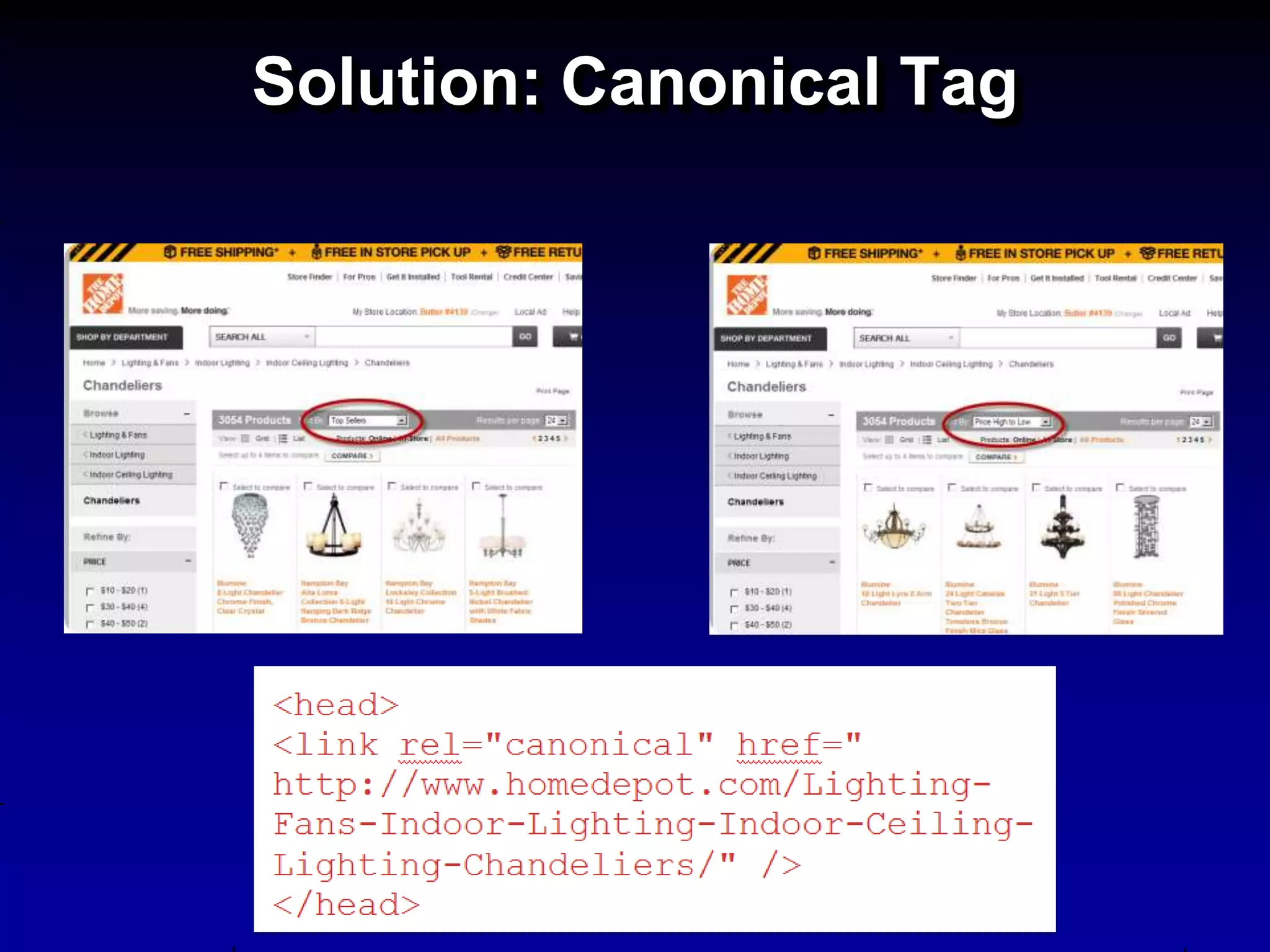 Solution: Canonical Tag
 