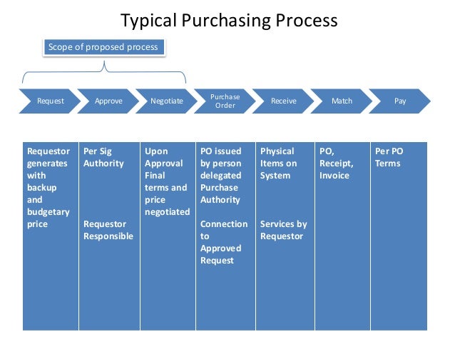 Essay about responsibility as a consumer