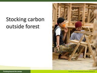 Stocking carbon
outside forest
 