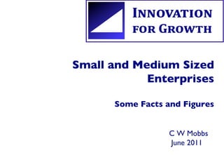 Small and Medium Sized Enterprises Some Facts and Figures C W Mobbs  June 2011 
