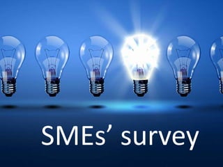 SMEs’ survey
 