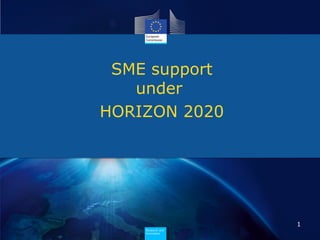 Research and
Innovation
Research and
Innovation
SME support
under
HORIZON 2020
1
 
