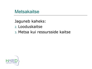 Metsakaitse Jaguneb kaheks: Looduskaitse Metsa kui ressursside kaitse 