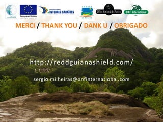 sergio.milheiras@onfinternational.com
http://reddguianashield.com/
MERCI / THANK YOU / DANK U / OBRIGADO
Photo credit: ONF Guyane
 