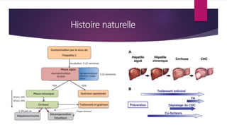 Histoire naturelle
 