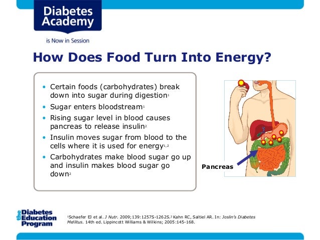 Diabetes Management 101