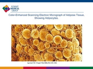 Color-Enhanced Scanning Electron Micrograph of Adipose Tissue,
                   Showing Adipocytes.




               Apovian CM. N Engl J Med 2006;354:1101-1102.
 