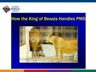 How the King of Beasts Handles PMS
 