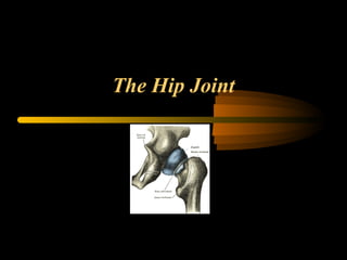 The Hip Joint
 