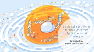 Single Cell Sequencing
for Drug Discovery:
Applications and
Challenges
Sarah Middleton
Computational Biologist, GSK
Image: Quanta Magazine
 