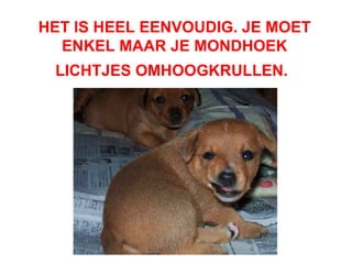 HET IS HEEL EENVOUDIG. JE MOET ENKEL MAAR JE MONDHOEK LICHTJES OMHOOGKRULLEN.   