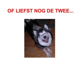 OF LIEFST NOG DE TWEE... 