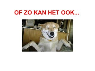 OF ZO KAN HET OOK...   
