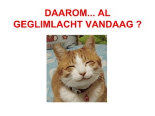 DAAROM... AL GEGLIMLACHT VANDAAG ?   