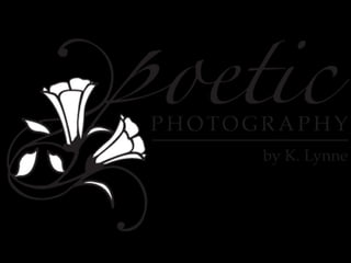 Poetic Photography 2009 In Review