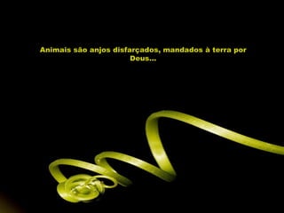 Animais são anjos disfarçados, mandados à terra por Deus... 