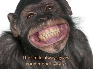 The smile always gives
good mood! 

 
