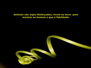 Animais são anjos disfarçados, vivem na terra  para mostrar ao homem o que é fidelidade. 