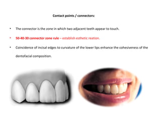 Contact points / connectors:
• The connector is the zone in which two adjacent teeth appear to touch.
• 50-40-30 connector zone rule – establish esthetic reation.
• Coincidence of incisal edges to curvature of the lower lips enhance the cohesiveness of the
dentofacial composition.
 