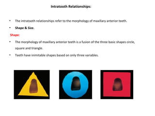 Intratooth Relationships:
• The intratooth relationships refer to the morphology of maxillary anterior teeth.
• Shape & Size.
Shape:
• The morphology of maxillary anterior teeth is a fusion of the three basic shapes circle,
square and triangle.
• Teeth have inimitable shapes based on only three variables.
 