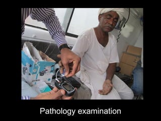 Pathology examination
 