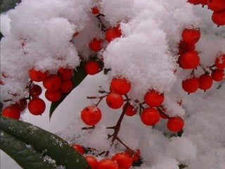 It’s easier to get forgiveness than permission. 