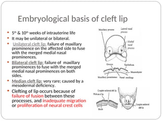 Orthodontic Management of Cleft lip and Palate.ppt
