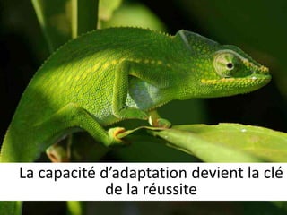 La capacité d’adaptation devient la clé 
de la réussite 
 