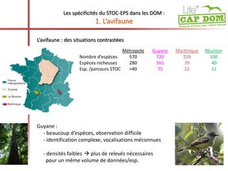 L’avifaune : des situations contrastées 
Guyane : 
Les spécificités du STOC-EPS dans les DOM : 
1. L’avifaune 
Métropole Guyane Martinique Réunion 
Nombre d’espèces 570 720 229 100 
Espèces nicheuses 280 565 79 40 
Esp. /parcours STOC >40 75 22 11 
- beaucoup d’espèces, observation difficile 
- identification complexe, vocalisations méconnues 
- densités faibles  plus de relevés nécessaires 
pour un même volume de données/esp. 
 