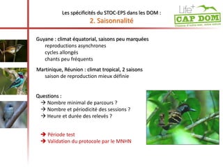 Les spécificités du STOC-EPS dans les DOM : 
2. Saisonnalité 
Guyane : climat équatorial, saisons peu marquées 
reproductions asynchrones 
cycles allongés 
chants peu fréquents 
Martinique, Réunion : climat tropical, 2 saisons 
saison de reproduction mieux définie 
Questions : 
 Nombre minimal de parcours ? 
 Nombre et périodicité des sessions ? 
 Heure et durée des relevés ? 
 Période test 
 Validation du protocole par le MNHN 
 