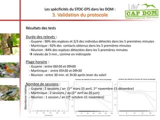 Les spécificités du STOC-EPS dans les DOM : 
3. Validation du protocole 
Résultats des tests 
Durée des relevés : 
- Guyane : 90% des espèces et 2/3 des individus détectés dans les 5 premières minutes 
- Martinique : 92% des contacts obtenus dans les 5 premières minutes 
- Réunion : 84% des espèces détectées dans les 5 premières minutes 
 relevés de 5 min., comme en métropole 
Plage horaire : 
- Guyane : entre 06h30 et 09h00 
- Martinique : entre 05h30 et 09h30 
- Réunion : entre 30 min. et 3h30 après lever du soleil 
Abondance relativeNombre de sessions : 
- Guyane : 2 sessions / an (1er mars-15 avril, 1er novembre-15 décembre) 
- Martinique : 2 sessions / an (1er avril au 20 juin) 
- Réunion : 1 session / an (1er octobre-15 novembre) 
 