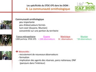 Les spécificités du STOC-EPS dans les DOM : 
4. La communauté ornithologique 
Communauté ornithologique 
peu importante 
peu d’observateurs formés 
turn-over (Guyane, Réunion) 
concentrée sur une portion du territoire 
France métropolitaine Guyane Martinique Réunion 
1300 particip. STOC-EPS < 100 observateurs 31 observateurs ~20 observateurs 
 Nécessités : 
- recrutement de nouveaux observateurs 
- formation 
- implication des agents des réserves, parcs nationaux, ONF 
(parcours dans l’intérieur) 
 