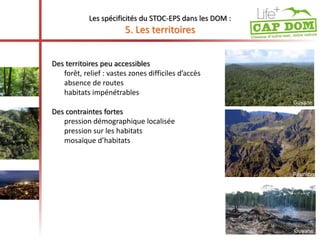 Les spécificités du STOC-EPS dans les DOM : 
5. Les territoires 
Guyane 
Réunion 
Des territoires peu accessibles 
forêt, relief : vastes zones difficiles d’accès 
absence de routes 
habitats impénétrables 
Des contraintes fortes 
pression démographique localisée 
pression sur les habitats 
mosaïque d’habitats 
Guyane 
 
