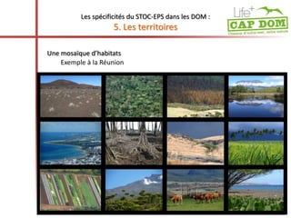 Les spécificités du STOC-EPS dans les DOM : 
5. Les territoires 
Une mosaïque d’habitats 
Exemple à la Réunion 
 
