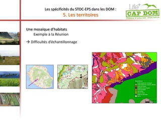 Les spécificités du STOC-EPS dans les DOM : 
5. Les territoires 
Une mosaïque d’habitats 
Exemple à la Réunion 
 Difficultés d’échantillonnage 
 