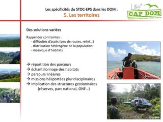 Les spécificités du STOC-EPS dans les DOM : 
Des solutions variées 
5. Les territoires 
 répartition des parcours 
 échantillonnage des habitats 
 parcours linéaires 
 missions héliportées pluridisciplinaires 
 implication des structures gestionnaires 
(réserves, parc national, ONF…) 
Guyane 
Rappel des contraintes : 
- difficultés d’accès (peu de routes, relief…) 
- distribution hétérogène de la population 
- mosaïque d’habitats 
Martinique 
 