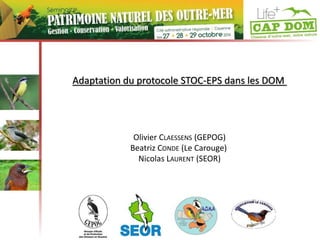 Adaptation du protocole STOC-EPS dans les DOM 
Olivier CLAESSENS (GEPOG) 
Beatriz CONDE (Le Carouge) 
Nicolas LAURENT (SEOR) 
 