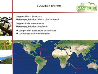 3 DOM bien différents 
Guyane : climat équatorial 
Martinique, Réunion : climat plus contrasté 
Guyane : forêt amazonienne 
Martinique, Réunion : insularité 
 composition et structure de l’avifaune 
 contraintes environnementales 
 