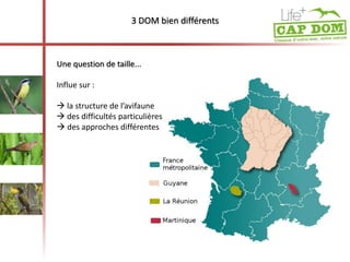 3 DOM bien différents 
Une question de taille... 
Influe sur : 
 la structure de l’avifaune 
 des difficultés particulières 
 des approches différentes 
 