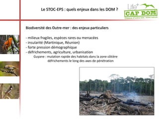 Le STOC-EPS : quels enjeux dans les DOM ? 
Biodiversité des Outre-mer : des enjeux particuliers 
- milieux fragiles, espèces rares ou menacées 
- insularité (Martinique, Réunion) 
- forte pression démographique 
- défrichements, agriculture, urbanisation 
Guyane : mutation rapide des habitats dans la zone côtière 
défrichements le long des axes de pénétration 
 