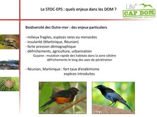 Le STOC-EPS : quels enjeux dans les DOM ? 
Biodiversité des Outre-mer : des enjeux particuliers 
- milieux fragiles, espèces rares ou menacées 
- insularité (Martinique, Réunion) 
- forte pression démographique 
- défrichements, agriculture, urbanisation 
Guyane : mutation rapide des habitats dans la zone côtière 
défrichements le long des axes de pénétration 
- Réunion, Martinique : fort taux d’endémisme 
espèces introduites 
 