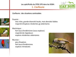 L’avifaune : des situations contrastées 
Guyane : 
Les spécificités du STOC-EPS dans les DOM : 
1. L’avifaune 
très riche, grande diversité locale, mais densités faibles 
majorité d’espèces résidentes et sédentaires 
Martinique : 
fort taux d’endémisme (sous-espèces) 
majorité de migrateurs 
espèces résidentes sédentaires 
Réunion : 
peu d’espèces 
fort taux d’endémisme 
espèces introduites 
 