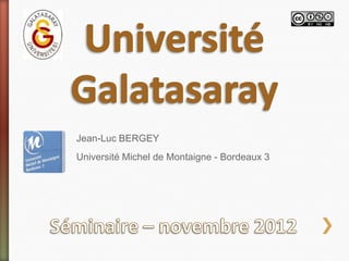Jean-Luc BERGEY
Université Michel de Montaigne - Bordeaux 3
 